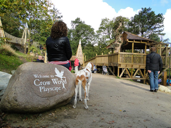 Crow Wood Playscape | Cheshire UK | Davies White Landscape Architects